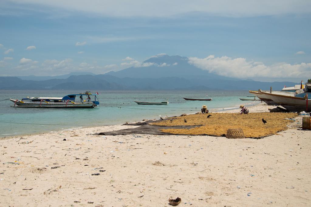 Namaste Bungalows Sakti ภายนอก รูปภาพ